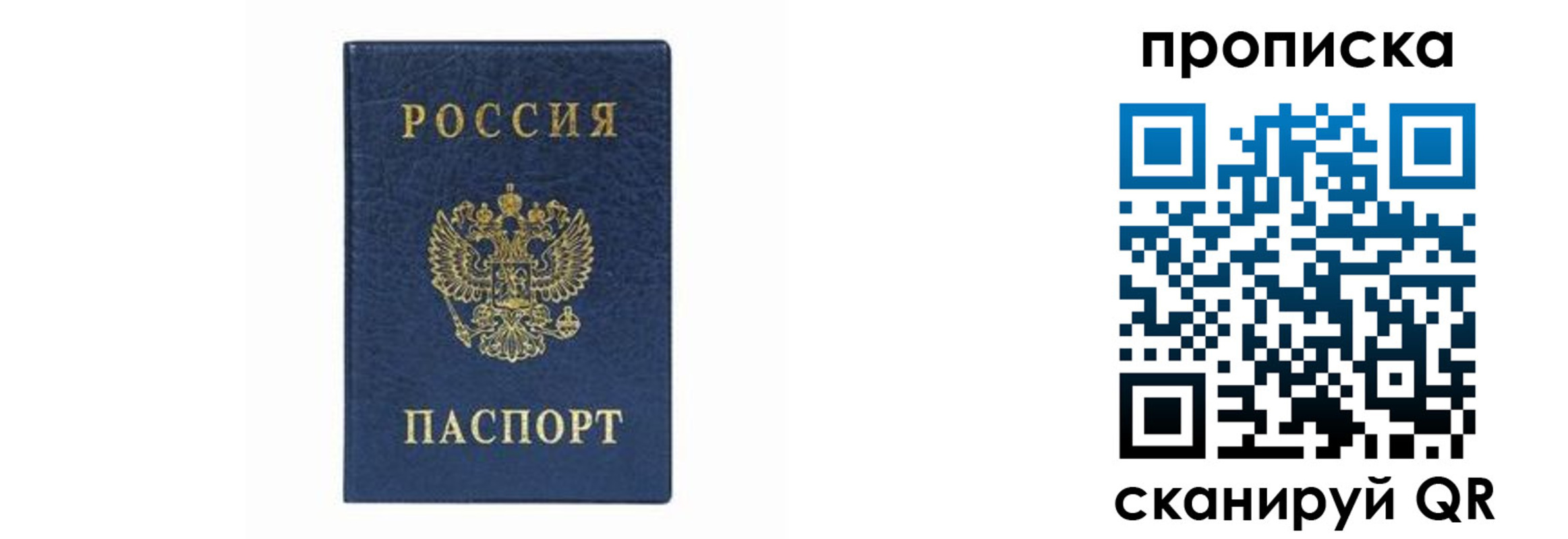 временная регистрация поиск в Камне-на-Оби